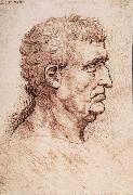 LEONARDO da Vinci Profile of a man Spain oil painting reproduction